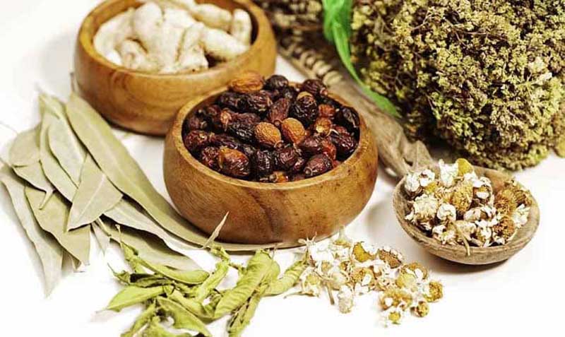 Cây thuốc nam chữa tinh trùng yếu