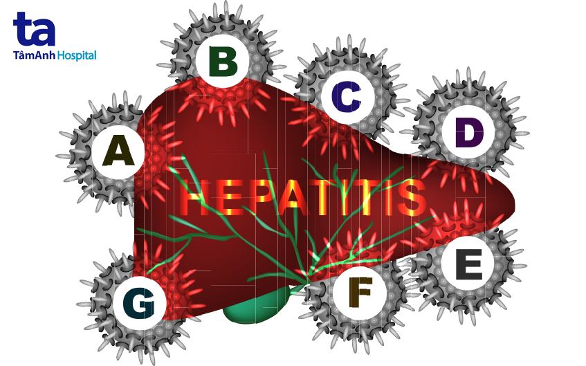 virus gây viêm gan