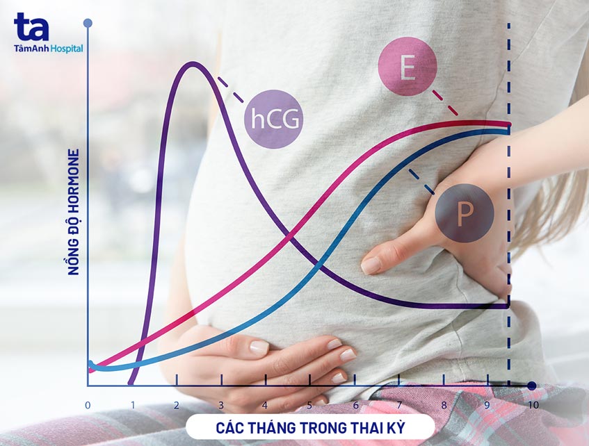nồng độ hormone trong thai kỳ