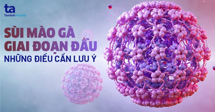 sùi mào gà giai đoạn đầu