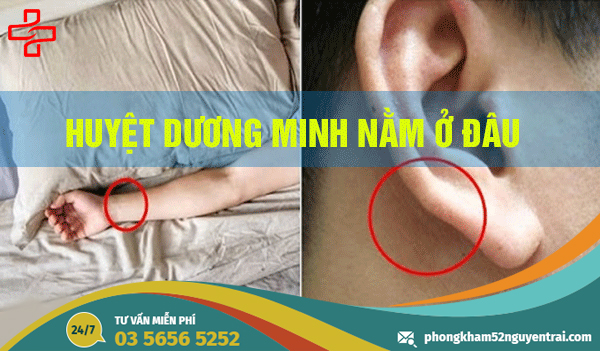 huyet-duong-minh-nam-o-dau