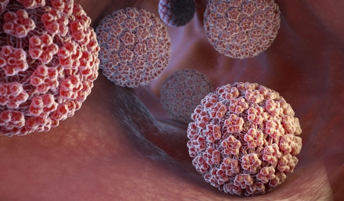 Virus Human Papillomavirus chủ yếu lây truyền qua đường tình dục. Ảnh: Shutterstock