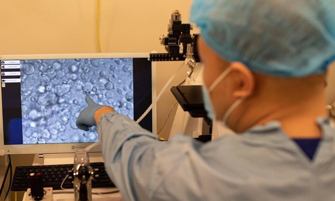 Tìm tinh trùng bên trong ống sinh tinh thông qua kính hiển vi đảo ngược với độ phóng đại lên tới hơn 200 lần. Ảnh: BVĐK Tâm Anh
