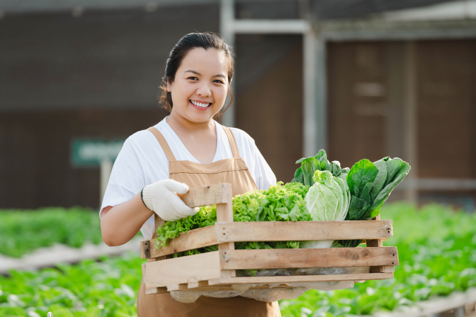 Các loại rau cải giúp tăng cường estrogen. Ảnh: Freepik