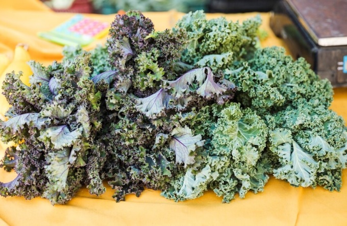 Cải xoăn: Cải xoăn có lợi cho chức năng của não vì nó có nhiều vitamin K, folate và lutein làm giảm sự suy giảm nhận thức. Loại thực phẩm này cũng chứa nhiều canxi và các chất dinh dưỡng khác cần thiết để điều hòa giấc ngủ và sản xuất melatonin.