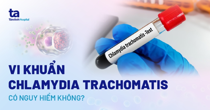 vi khuẩn chlamydia trachomatis
