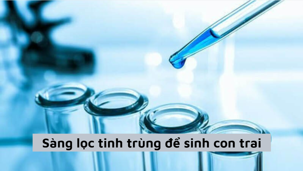 Sàng lọc tinh trùng để sinh con trai