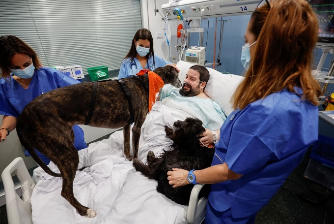 Joel Bueno và những chú chó trị liệu trong phòng hồi sức tích cực. Ảnh: Reuters