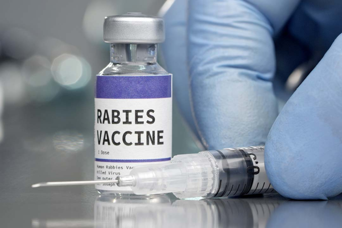 Minh họa vaccine dại. Ảnh: Gavi