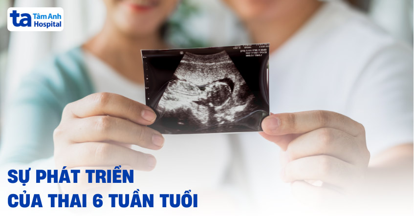 thai nhi 6 tuần tuổi