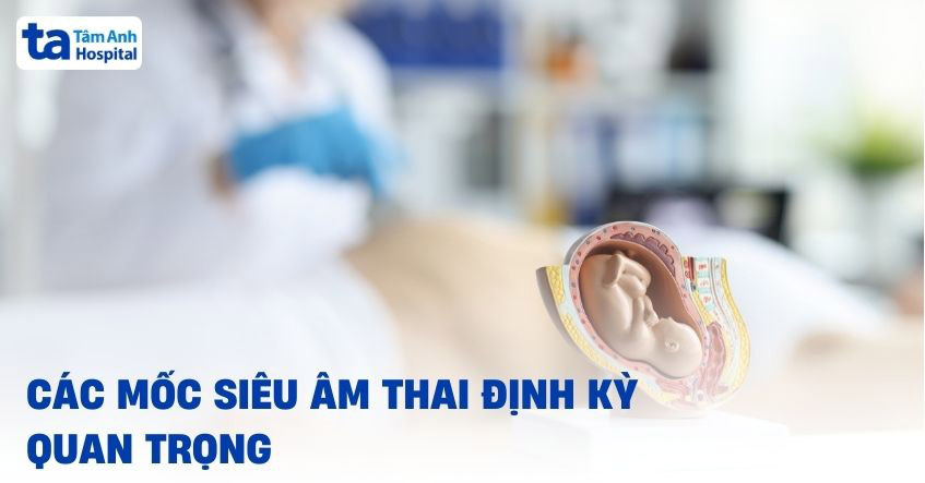 các mốc siêu âm thai định kỳ quan trọng