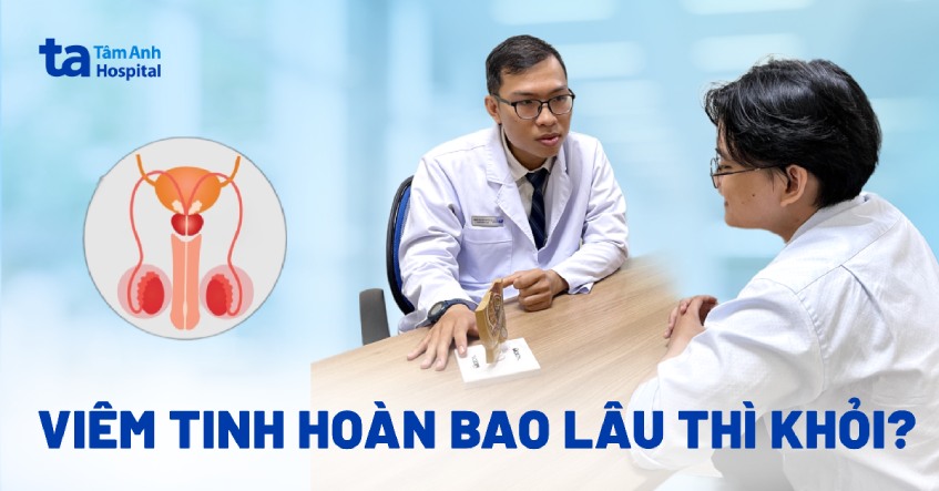 viêm tinh hoàn bao lâu thì khỏi