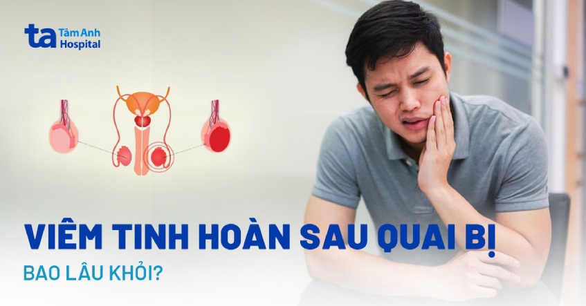 viêm tinh hoàn sau quai bị bao lâu thì khỏi