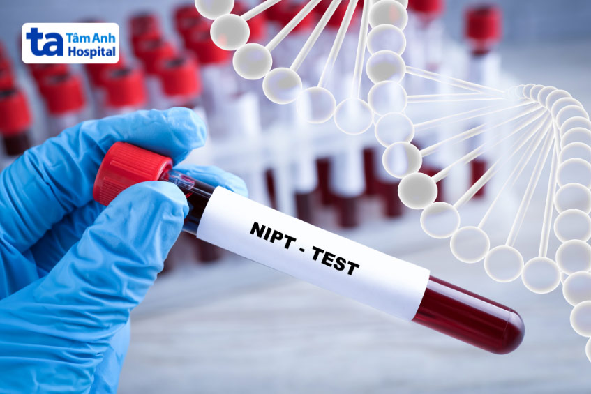 Mẫu xét nghiệm NIPT được lấy từ máu người mẹ để phân tích DNA của thai nhi