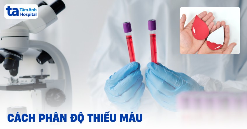 phân độ thiếu máu