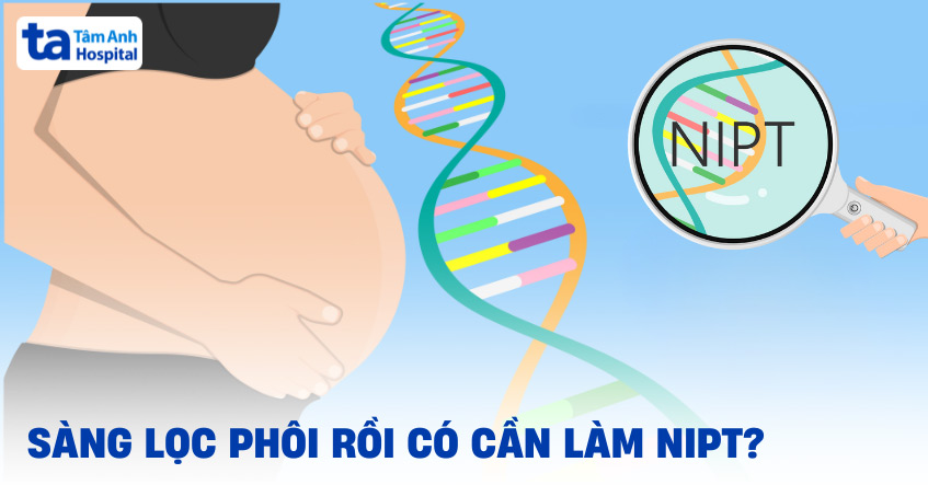 Sàng lọc phôi rồi có cần làm NIPT không?