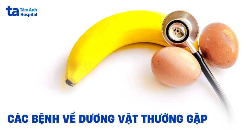 các bệnh về dương vật thường gặp