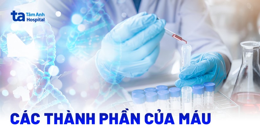 các thành phần của máu