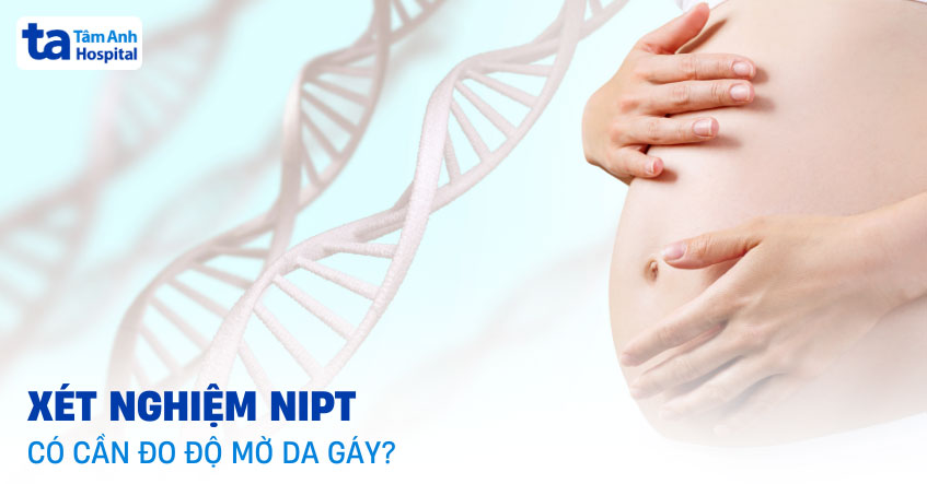 xét nghiệm nipt có cần đo độ mờ da gáy