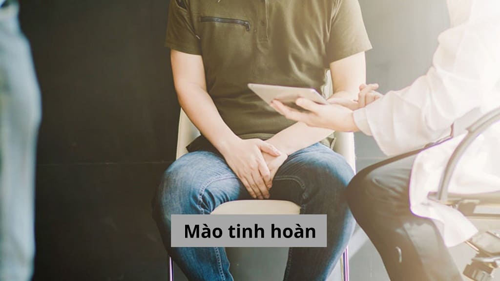 Mào tinh hoàn