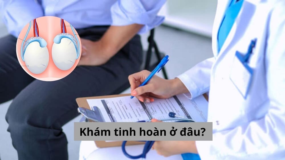 Khám tinh hoàn ở đâu?