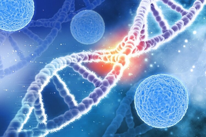 Bệnh lý đơn gene là những rối loạn di truyền bắt nguồn từ đột biến ở một gene gây ra. Ảnh: Bệnh viện cung cấp