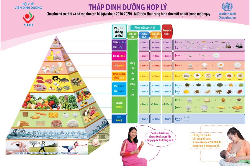 Tháp dinh dưỡng cho thai phụ và mẹ cho con bú