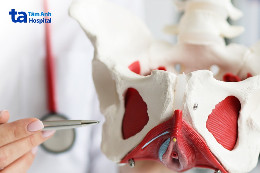 đau lưng sau sinh do rối loạn chức năng sàn chậu