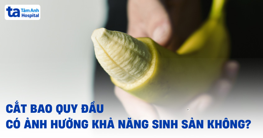 Cắt bao quy đầu có ảnh hưởng đến sinh sản không?