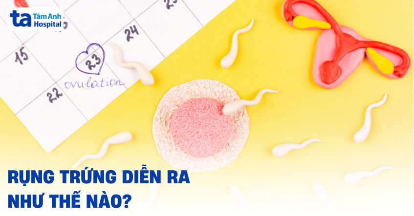 rụng trứng