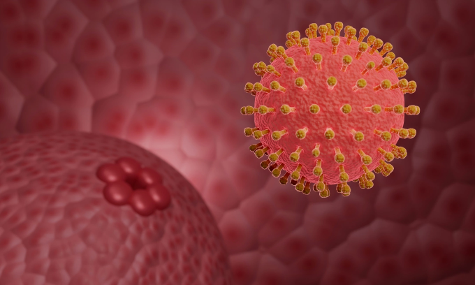 Sùi mào gà (mụn cóc sinh dục) do virus HPV (Human Papilloma virus) gây ra - mọc ở nhiều vị trí khác trên cơ thể. Ảnh minh họa: Vecteezy