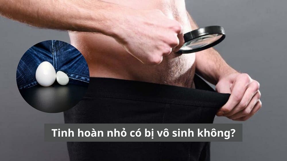 Tinh hoàn nhỏ có bị vô sinh không